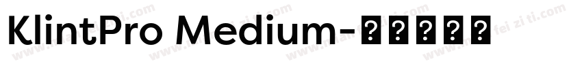 KlintPro Medium字体转换